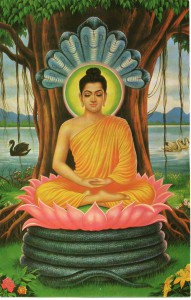 Sri Sambuddha Jayanthi